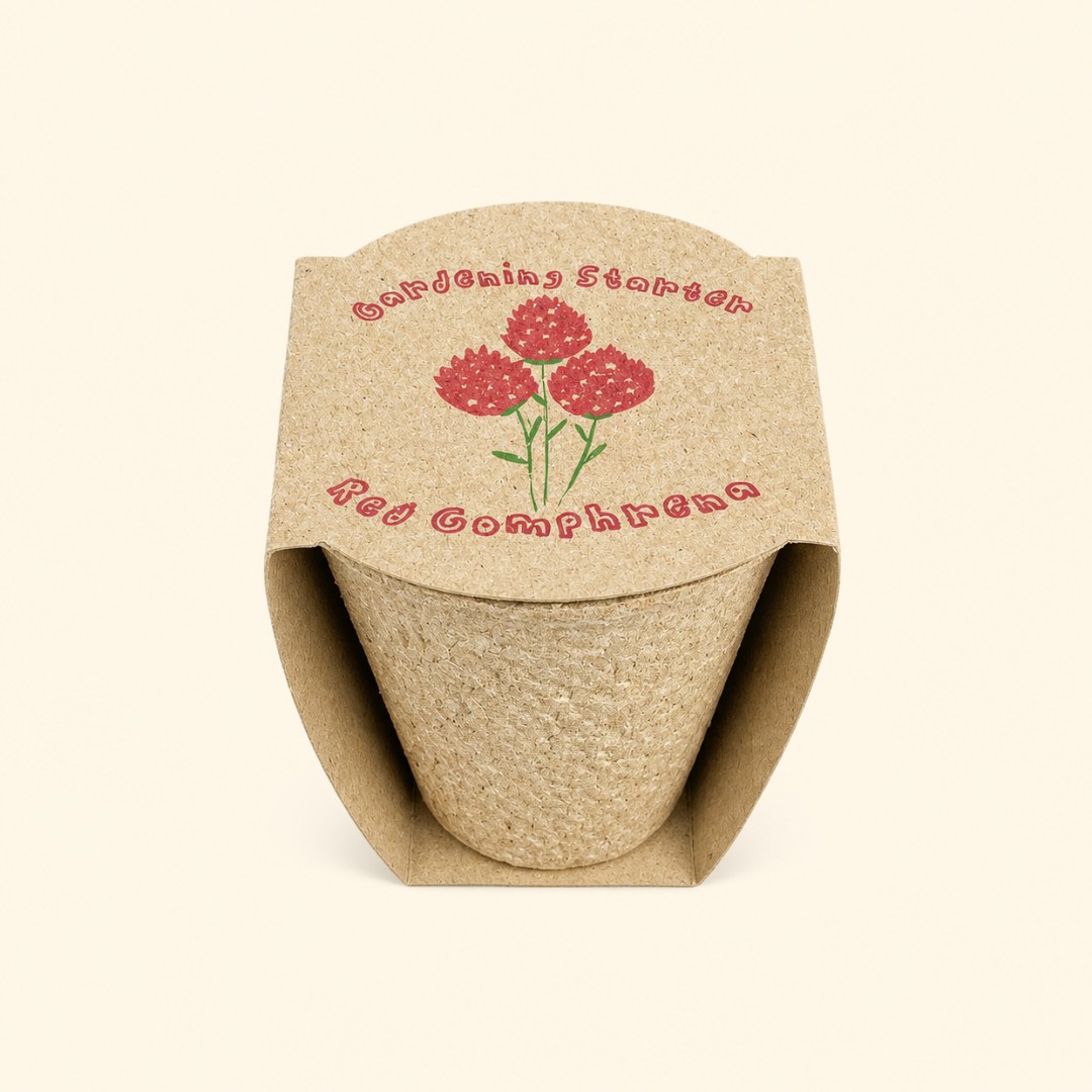 Red Gomphrena Mini Gardening Starter Kit image