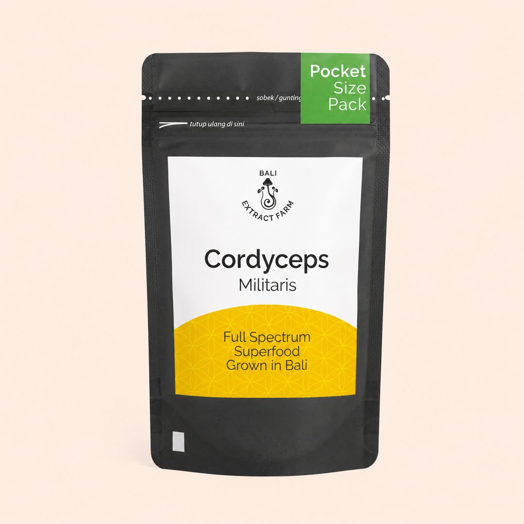 Cover produk Bali Extract Farm Cordyceps Militaris Powder 30gr dengan latar krem
